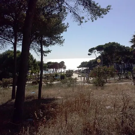 La Rotonda C-116 Apartman Conil de la Frontera